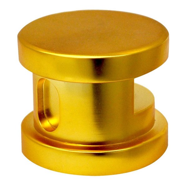Steamspa Steamhead with Aromatherapy Reservoir in Polished Gold G-SHGOLD